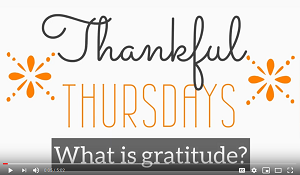 What is gratitude