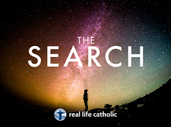 The Search small logo
